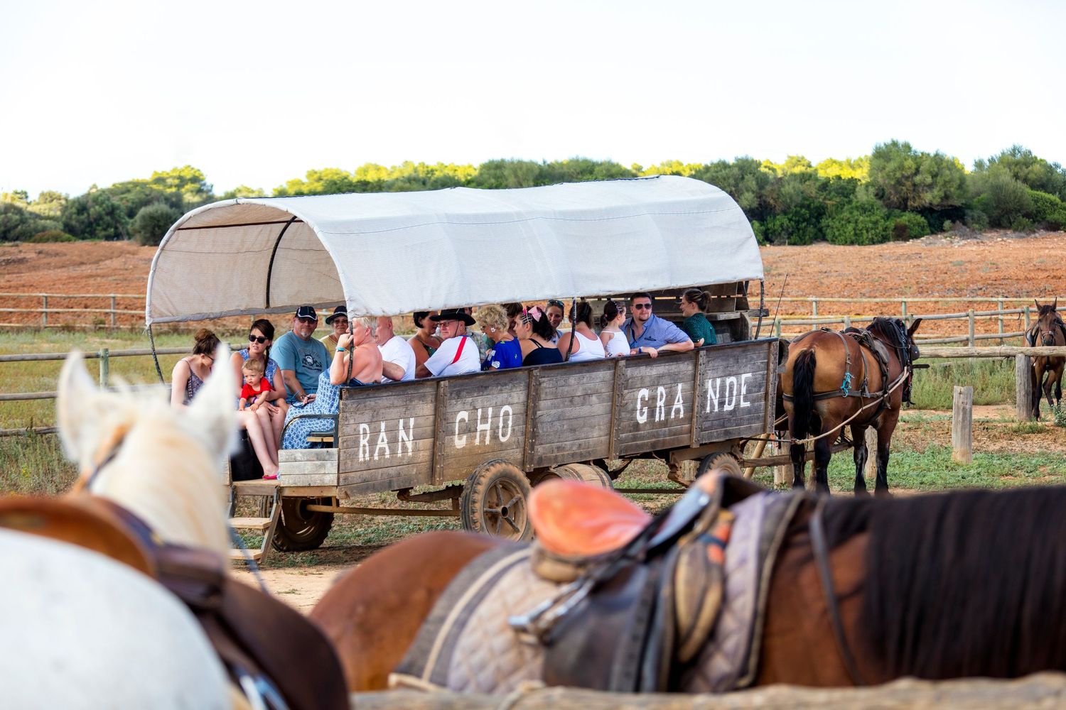 Tourists ride a covered horse-drawn wagon marked Gran Cargol through countryside, with saddled horses in the foreground.