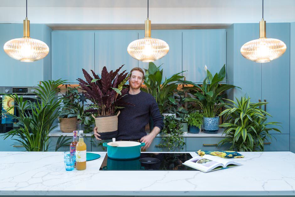 A lifestyle shoot of a bright kitchen counter with hanging pendant lights and lush tropical houseplants.