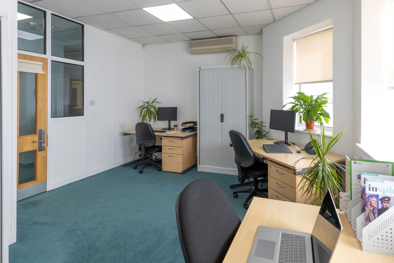 Modern office space with teal carpet, wooden desks, computer workstations, white storage cabinets, and green plants by bright windows.