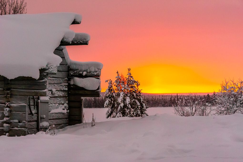 A snowy winter landscape at sunset, with a dramatic orange and pink sky illuminating snow-covered trees and the ground. Shot in Lapland.