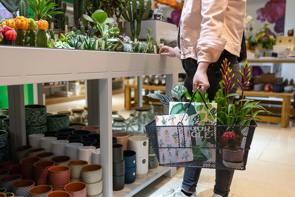 Lifestyle retail photography at RHS Plant Space Bluewater showing a customer holding a shopping basket while browsing and purchasing.