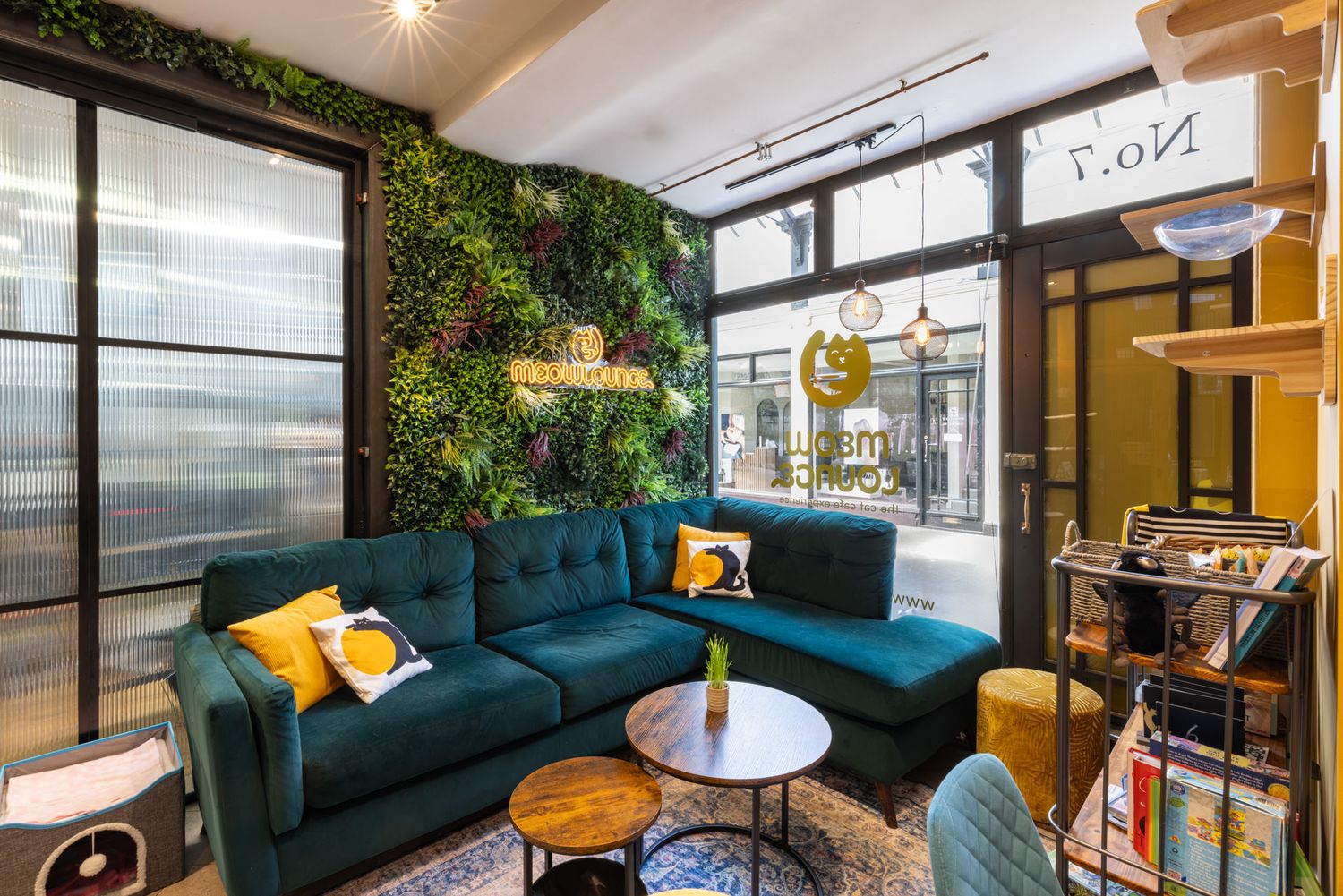Modern cat cafe in Hitchin, with teal sectional sofa, living wall, and gold pendant lights in a bright contemporary space.