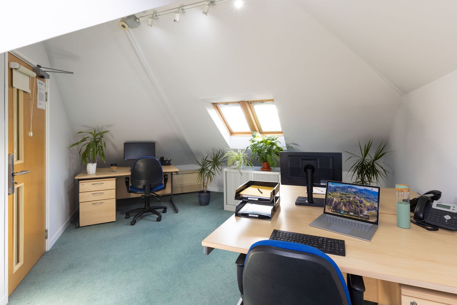 Bright attic office space with skylights, two desks, computers, blue carpet, and green plants in a modern workspace.