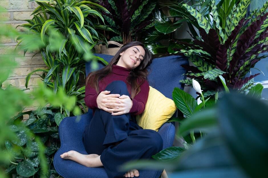 A lifestyle shoot of a lady relaxing on a blue couch surrounded by lush tropical plants and greenery in an indoor garden setting.