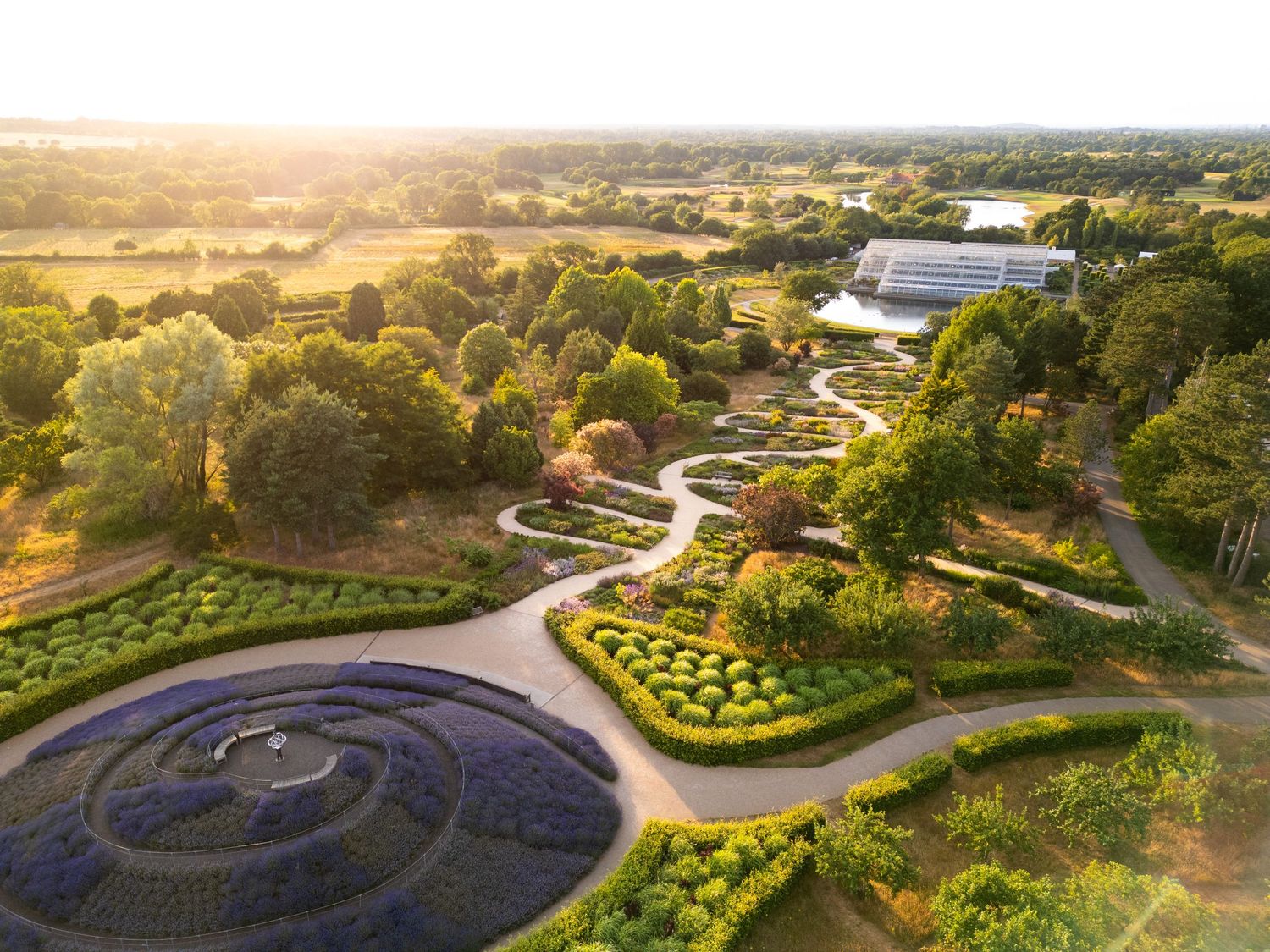 Aerial drone photograph of a formal garden featuring spiral lavender borders, manicured hedges and a glasshouse at golden hour.