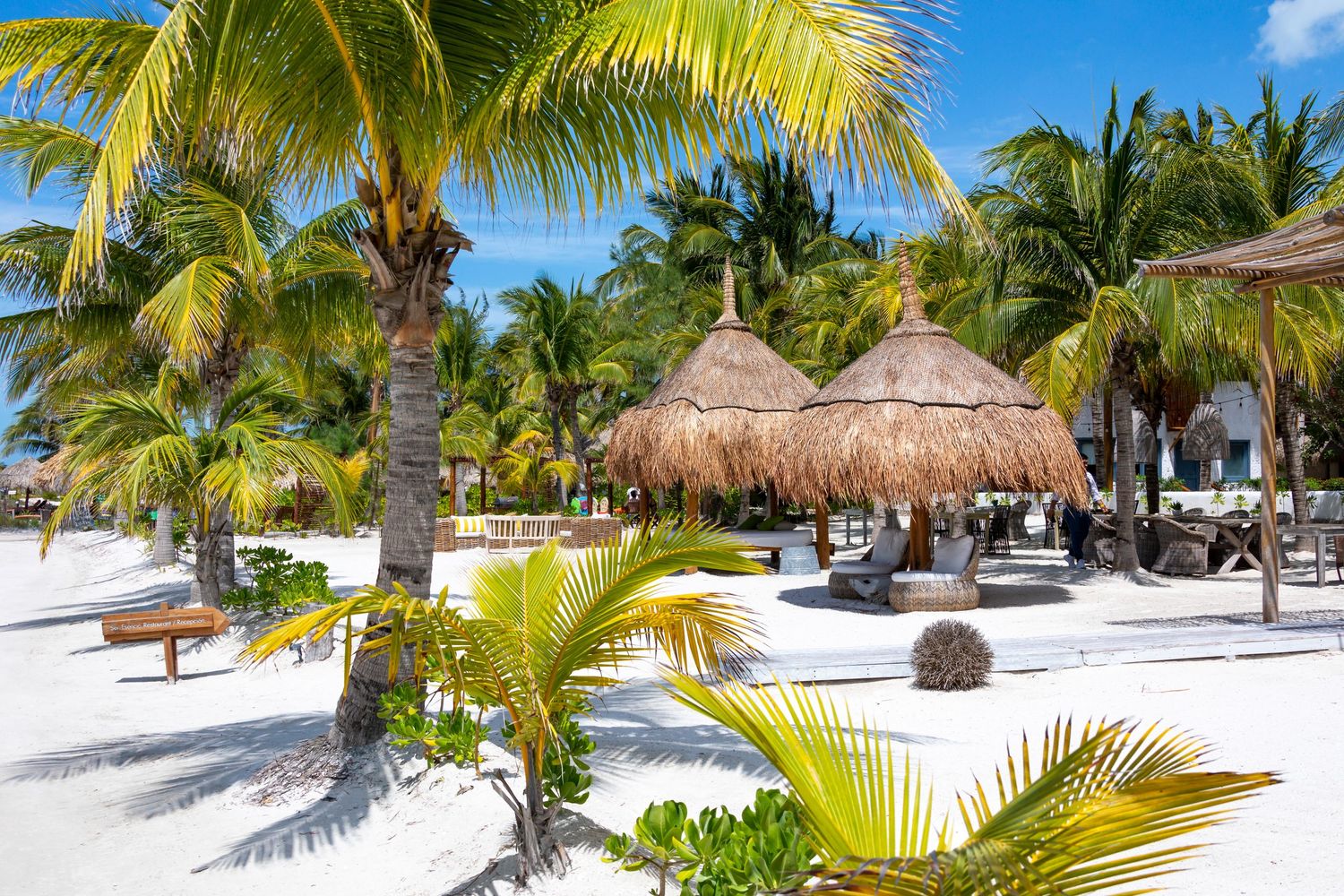 Tropical beach resort with white sand, lush palm trees, and thatched palapa umbrellas under a bright blue sky.