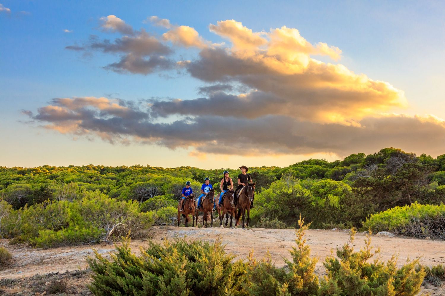 Group of horseback riders on a sandy trail through green Mediterranean scrubland beneath a dramatic golden sunset sky.