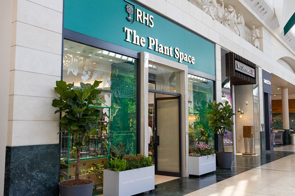 Lifestyle retail photography of the RHS Plant Space exterior at Bluewater, showing the store within the shopping centre.