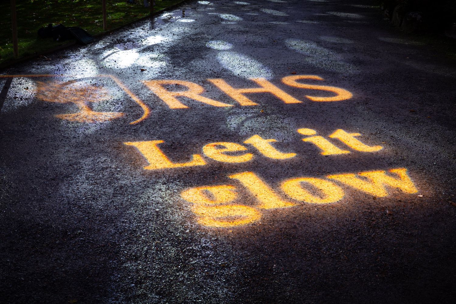 Light trail photography at Glow, RHS Harlow Carr in Harrogate.