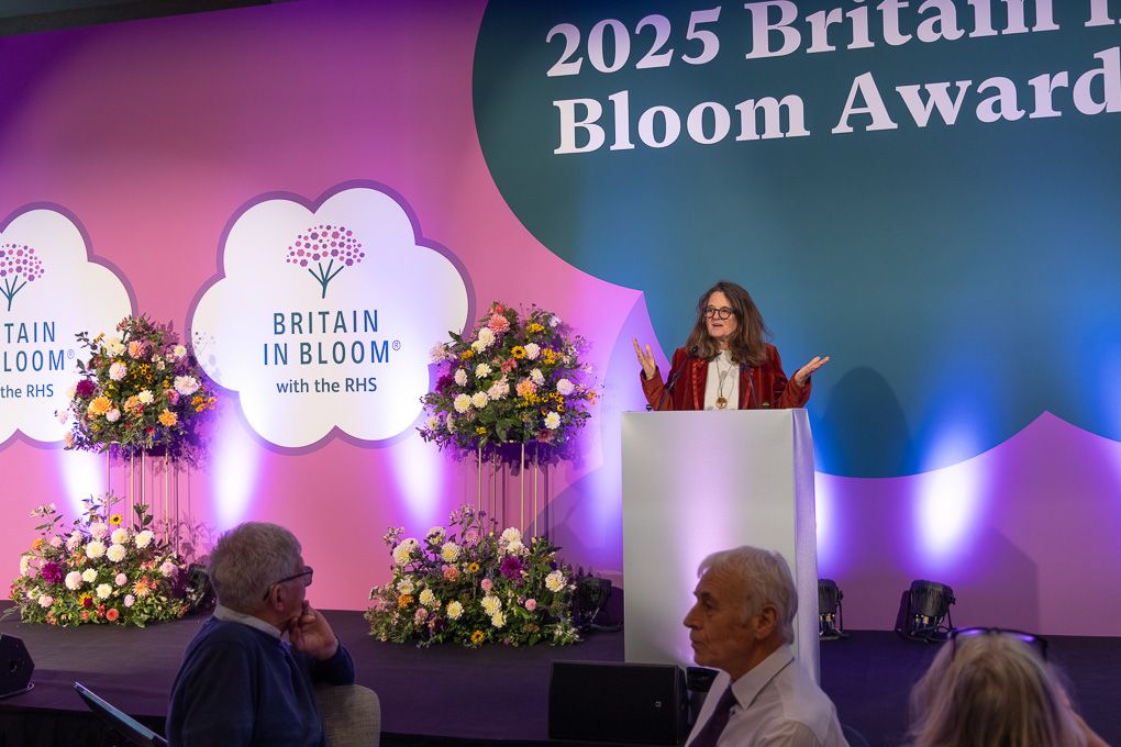 A stage setup for the 2025 Britain in Bloom Awards ceremony with pink lighting and floral arrangements on display.