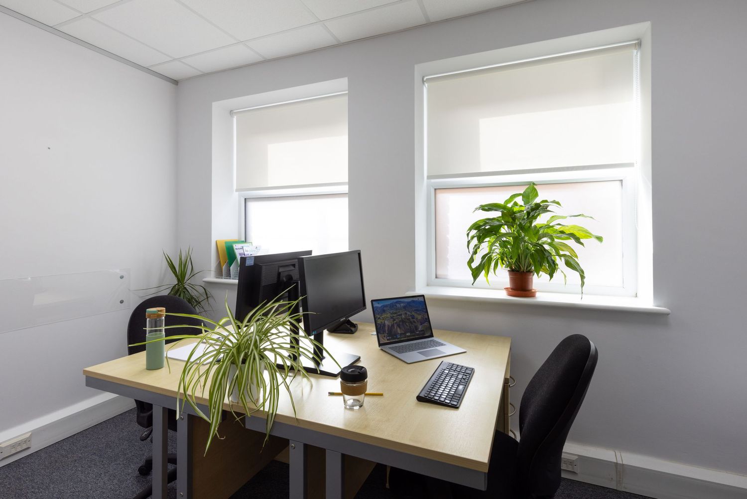 Modern office workspace with dual monitors, laptop, keyboard, and green plants on a wooden desk near bright windows.