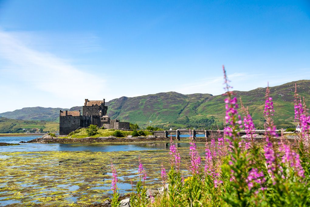 Eilean Donan Castle in Scotland, with vibrant pink wildflowers in the foreground and mountains reflecting in the loch.