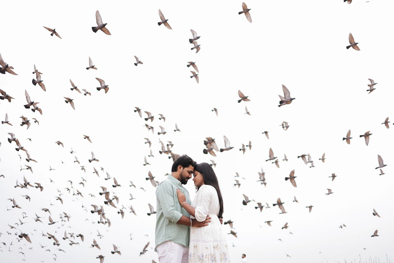 Couple embracing amid flying pigeons, candid pre-wedding photography, Chennai, Tamil Nadu