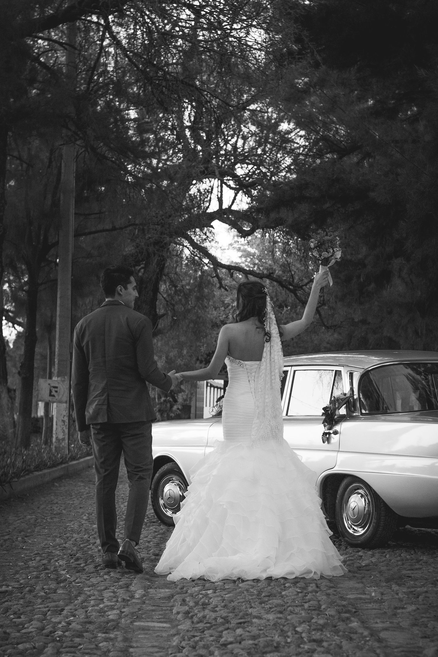 Reels Bodas