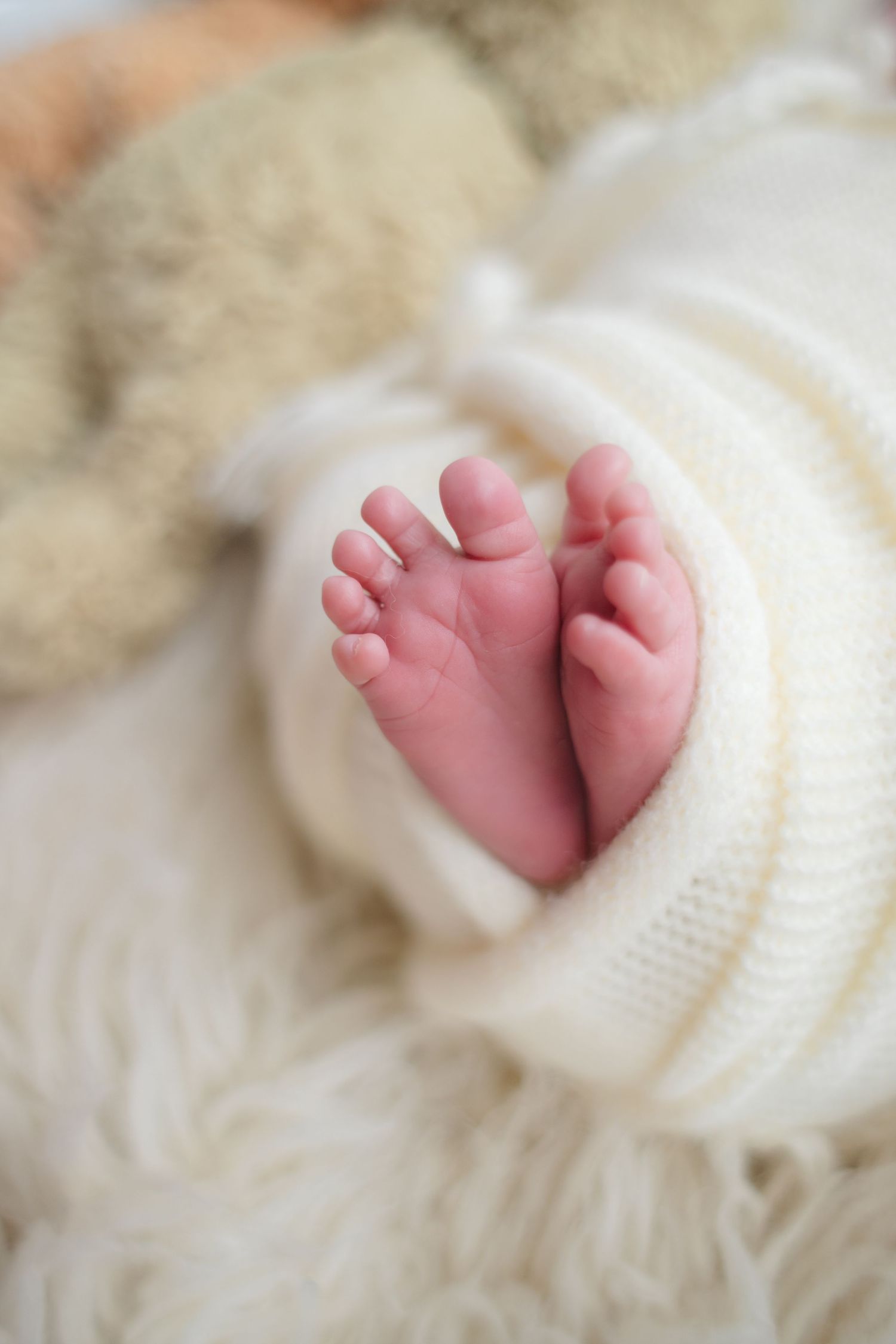 Close-up of tiny newborn baby feet peeking out from a soft white knit swaddle blanket.