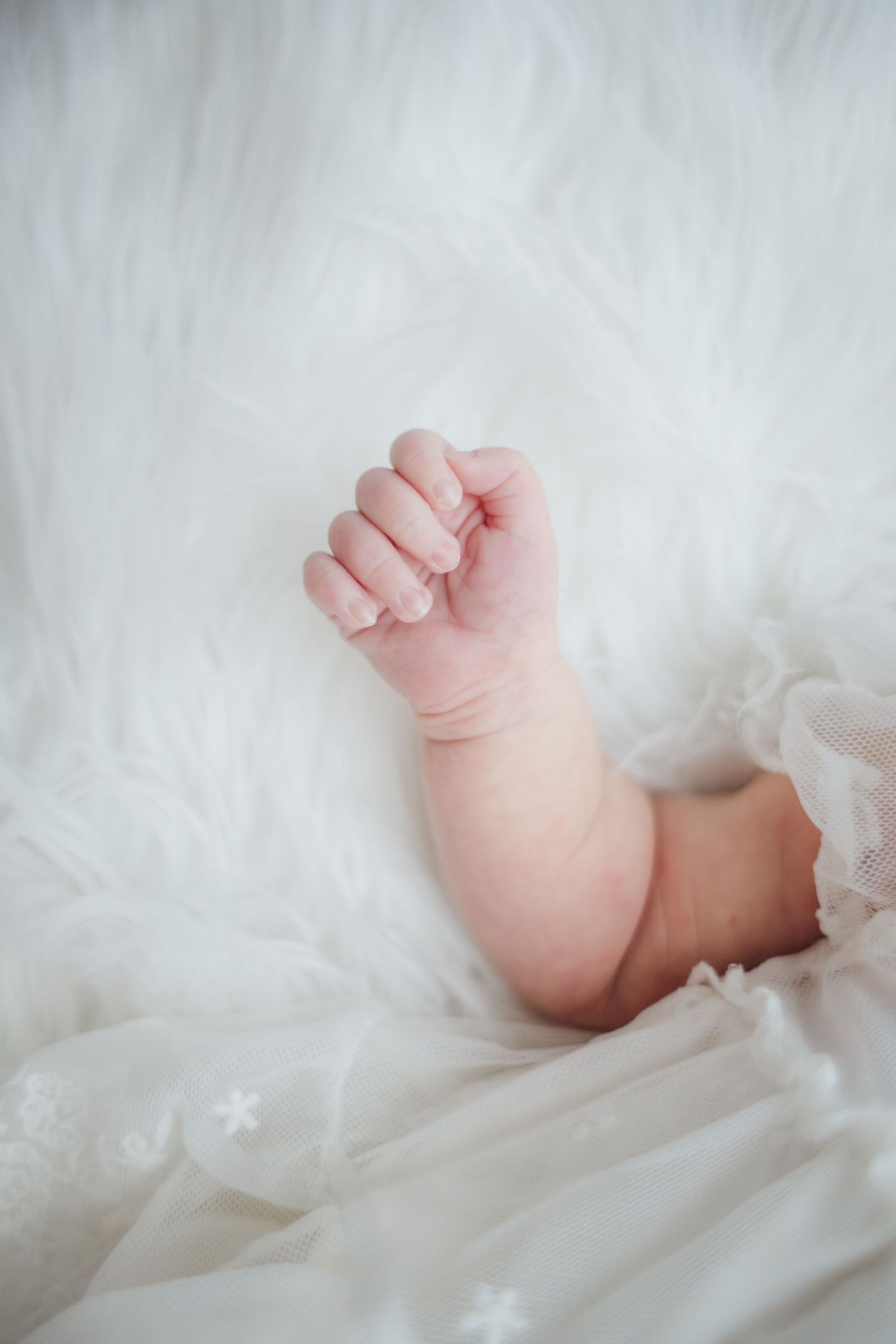 Close-up of tiny newborn baby fist resting on soft white fluffy blanket with lace fabric.