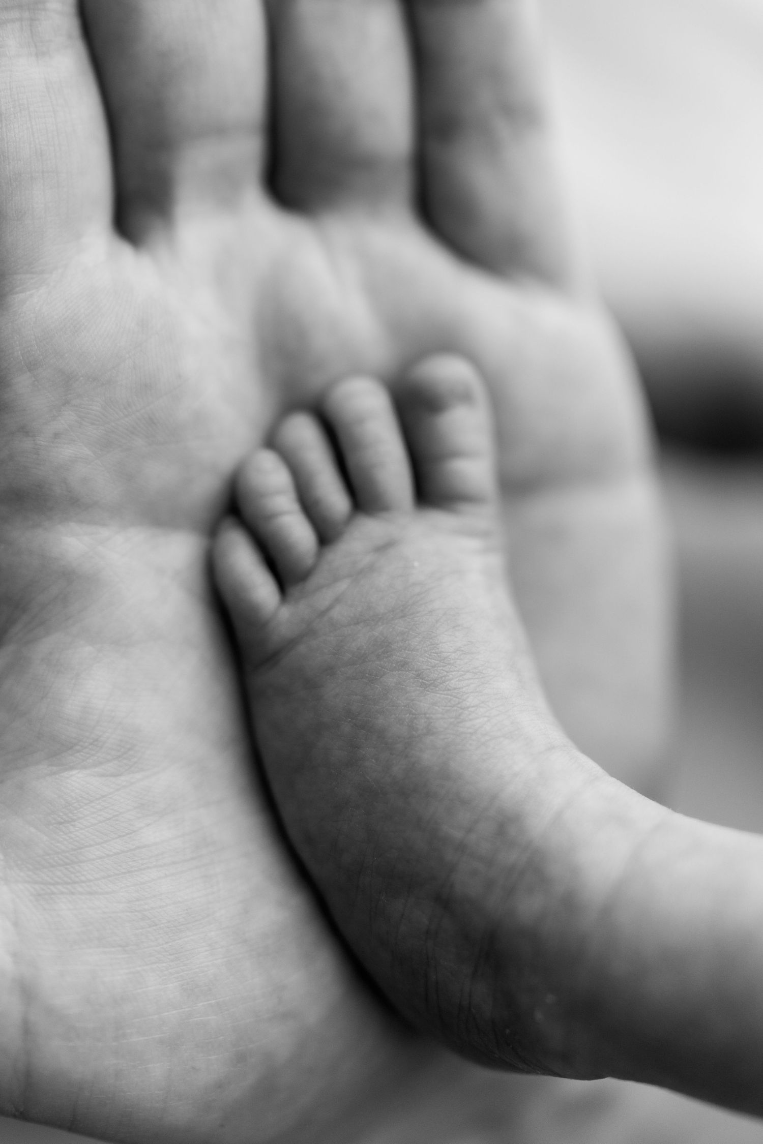 Grosse Hand hält behutsam einen kleinen Babyfuss in Schwarz-Weiss. Authentische Baby- und Neugeborenenfotos in der Schweiz.