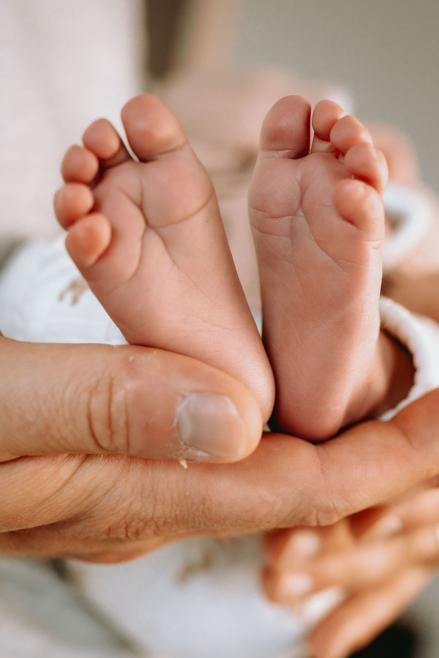 Elternhände halten liebevoll winzige Babyfüsse. Emotionale und natürliche Newborn-Fotografie im Kanton Solothurn.