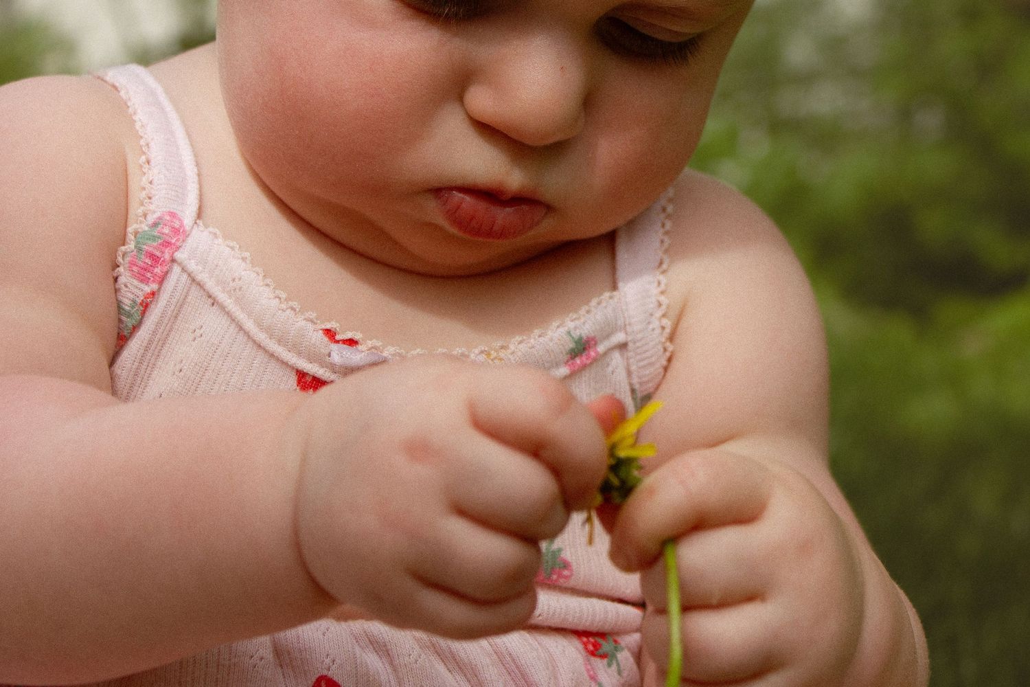 Chubby baby in pink floral dress carefully examining a small yellow flower with tiny hands.