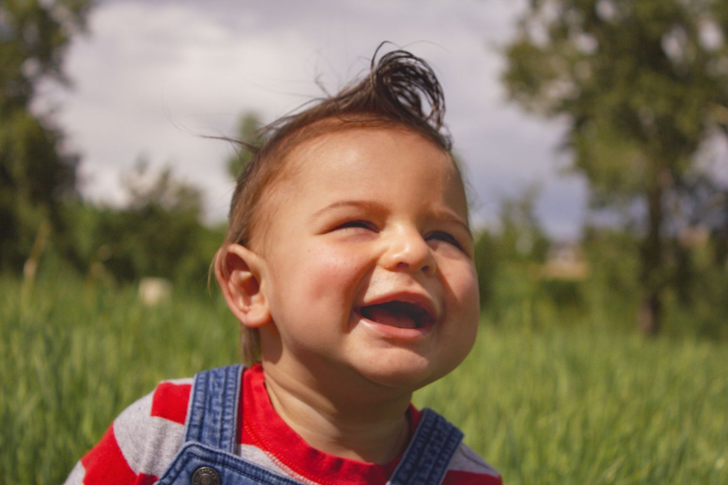 Happy toddler boy in red striped shirt and overalls laughing outdoors in green field.