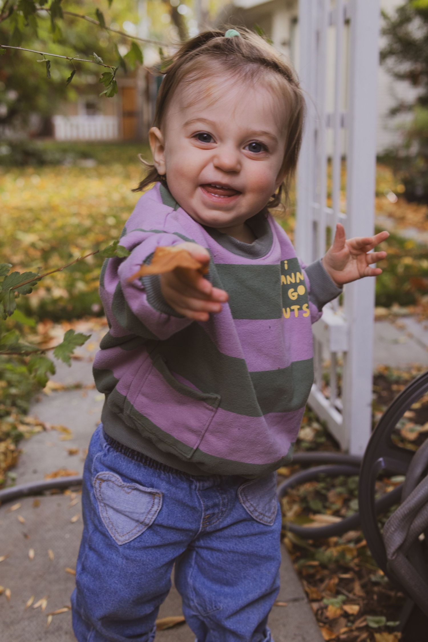Smiling toddler in purple striped sweatshirt and jeans holding a leaf outdoors in autumn.