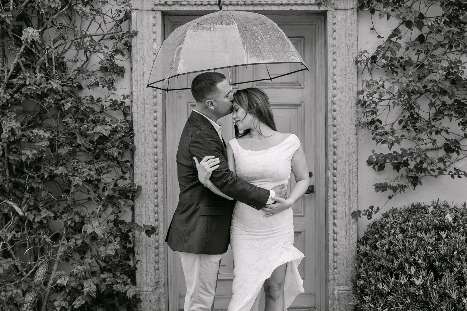 Couple kissing under a clear umbrella in the rain beside an ivy-covered wall in black and white photo.