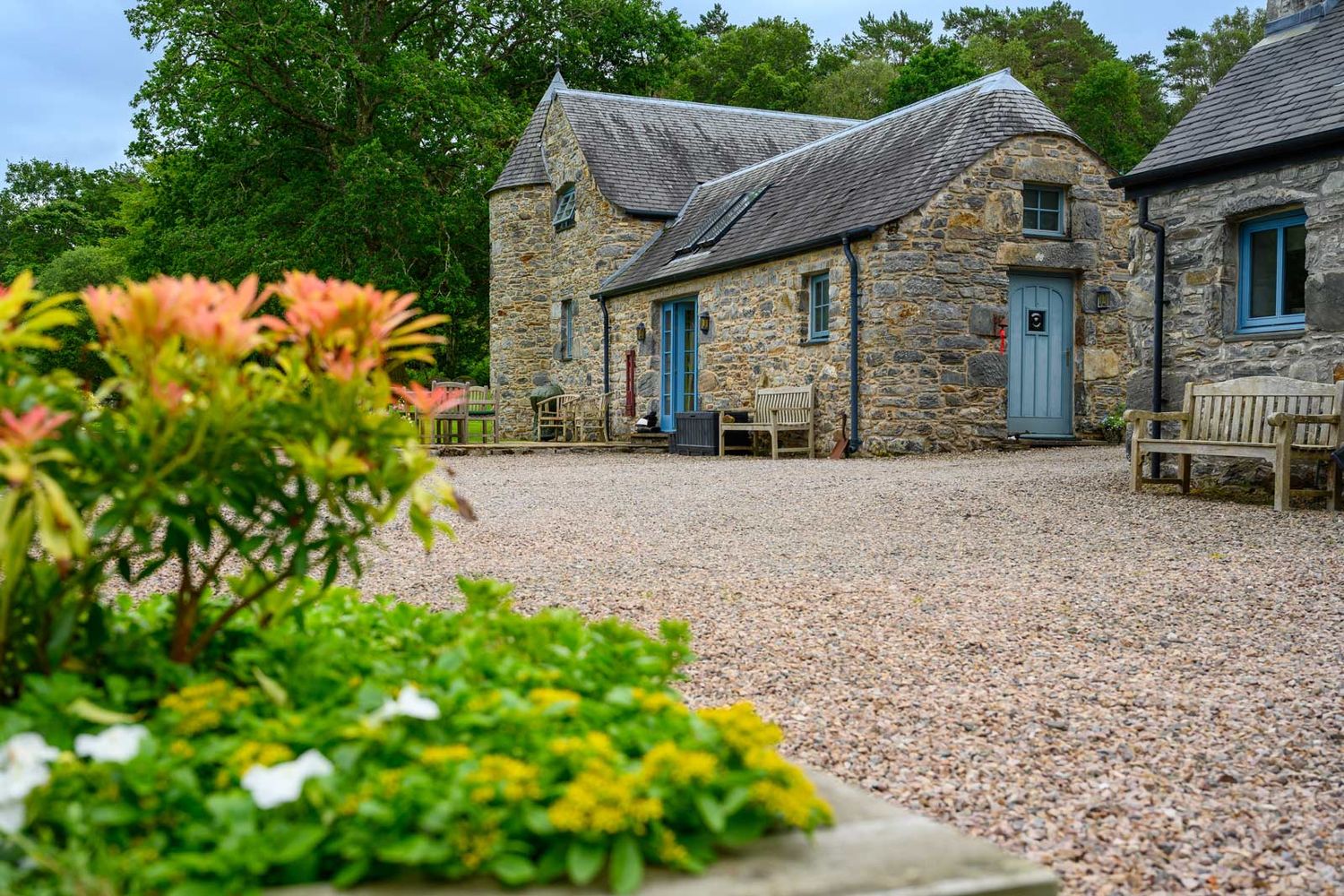 Front view of a stone cottage with blue doors and a gravel driveway bordered by plants and foliage.