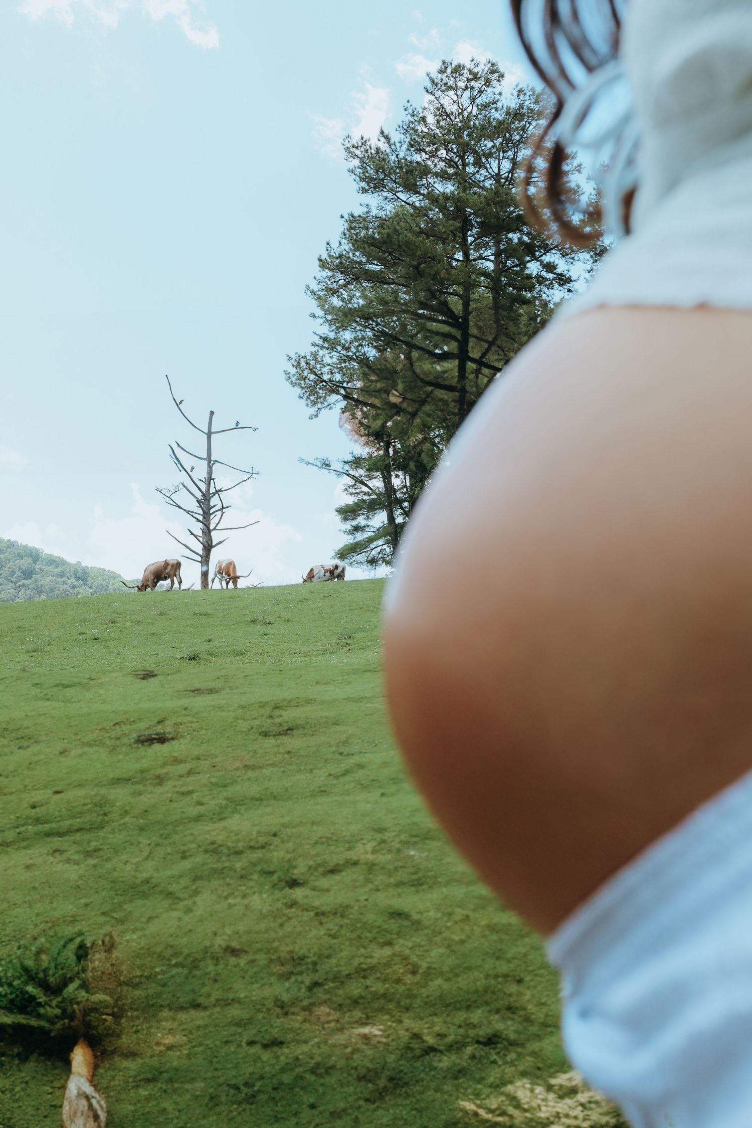 Intimate Country Maternity Session