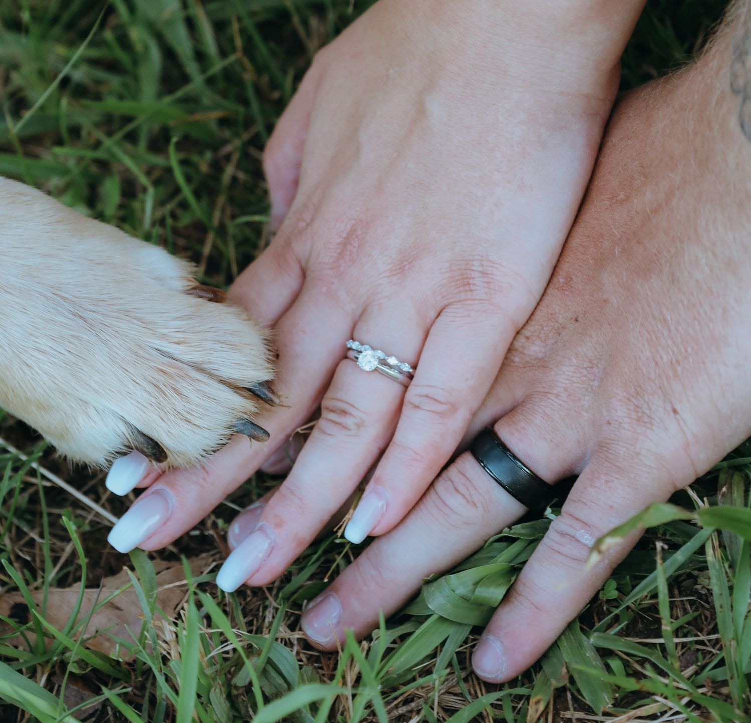 Dog Friendly Wedding Images