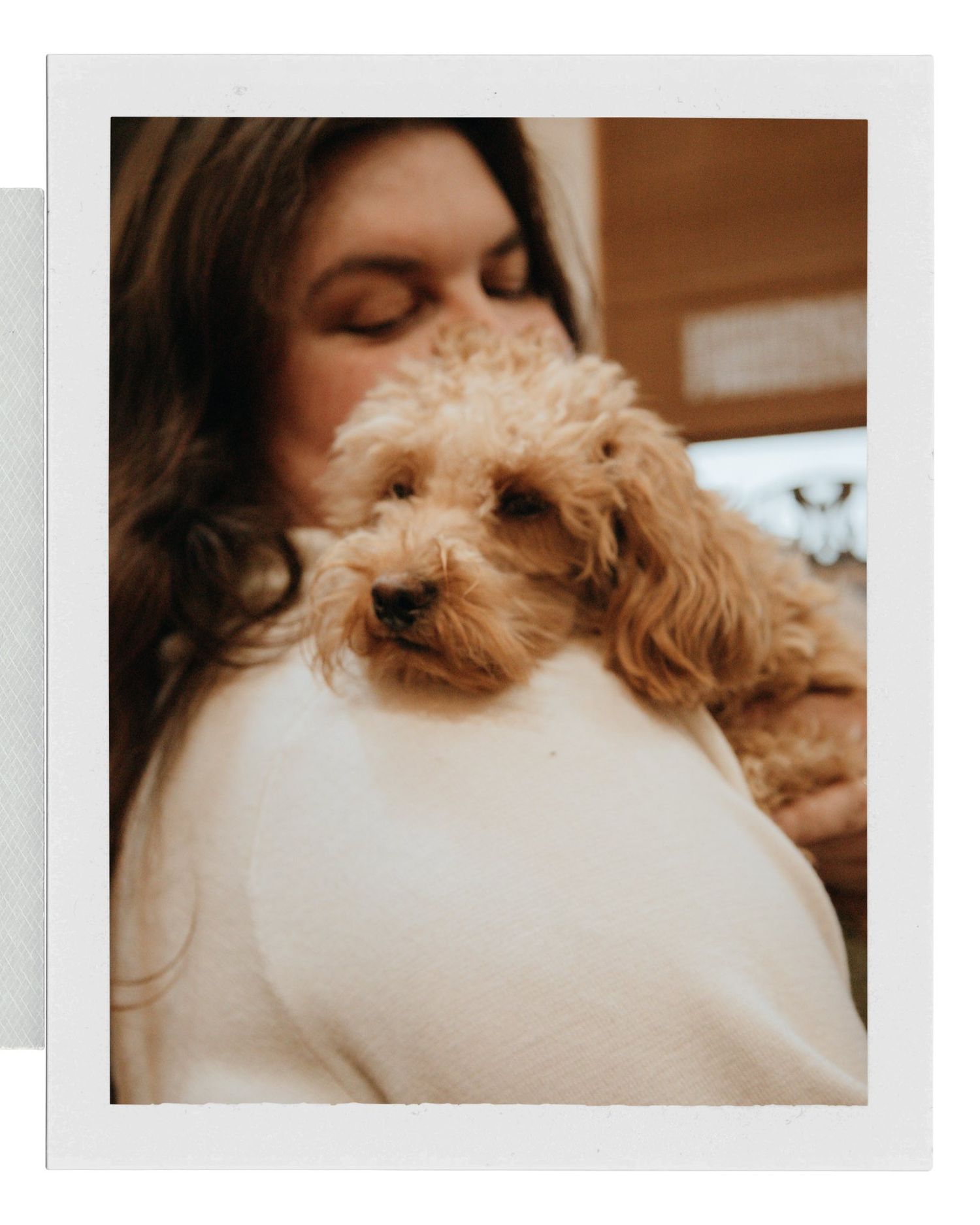 Dog and Owner