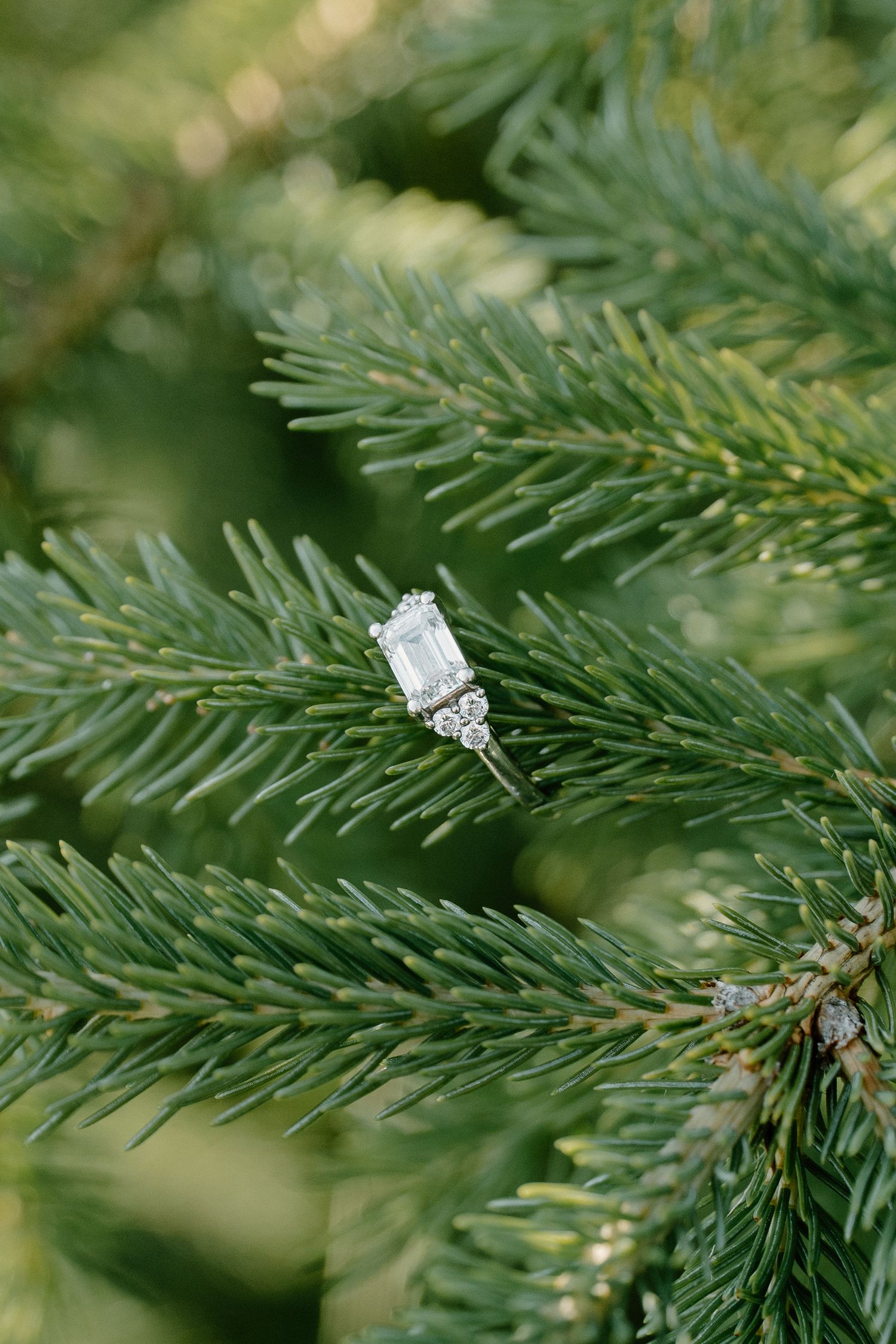 Elegant emerald-cut diamond engagement ring resting on green pine tree branches.