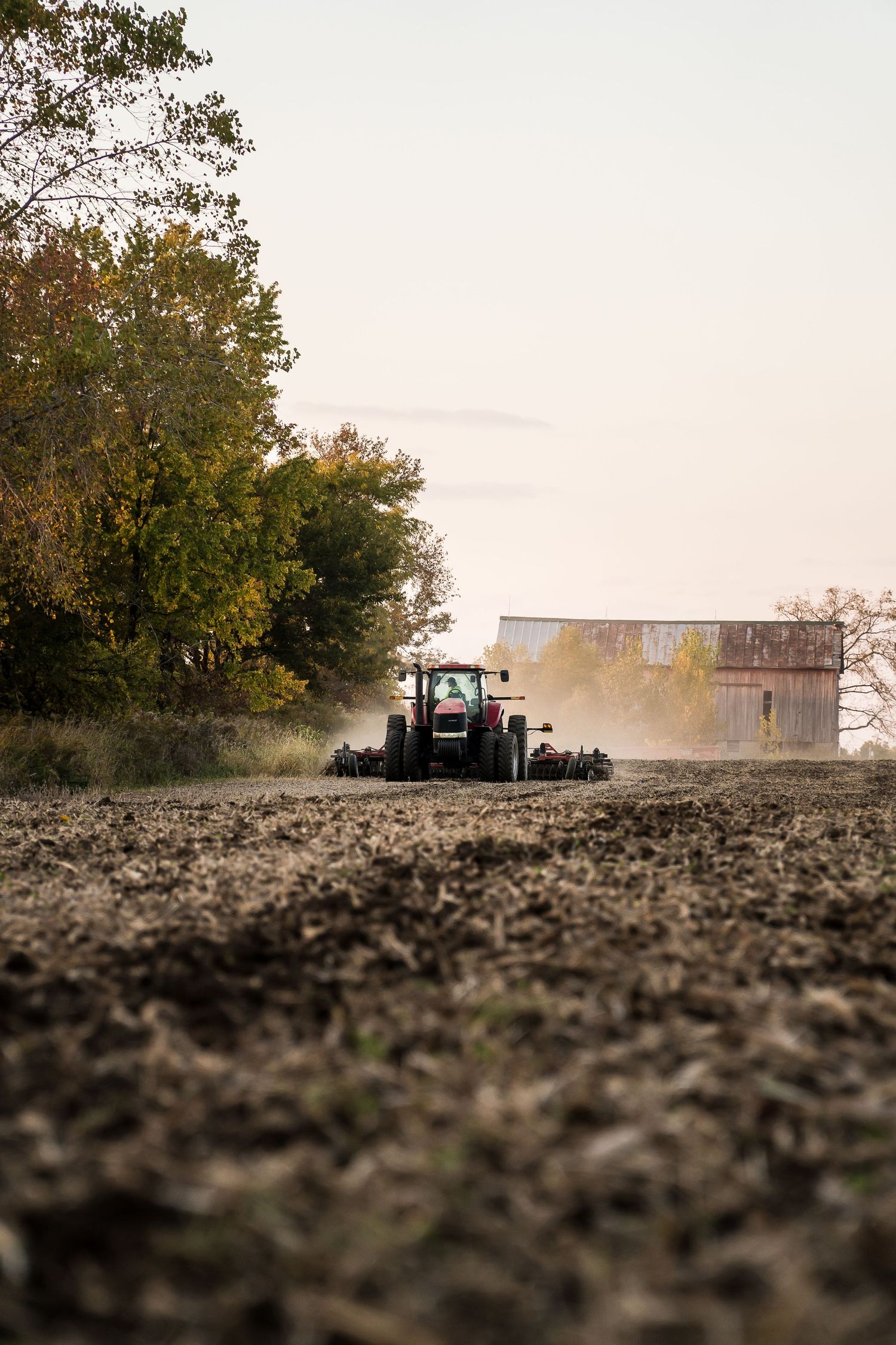 Red tractor tilling dusty field near old barn and autumn trees at dusk.