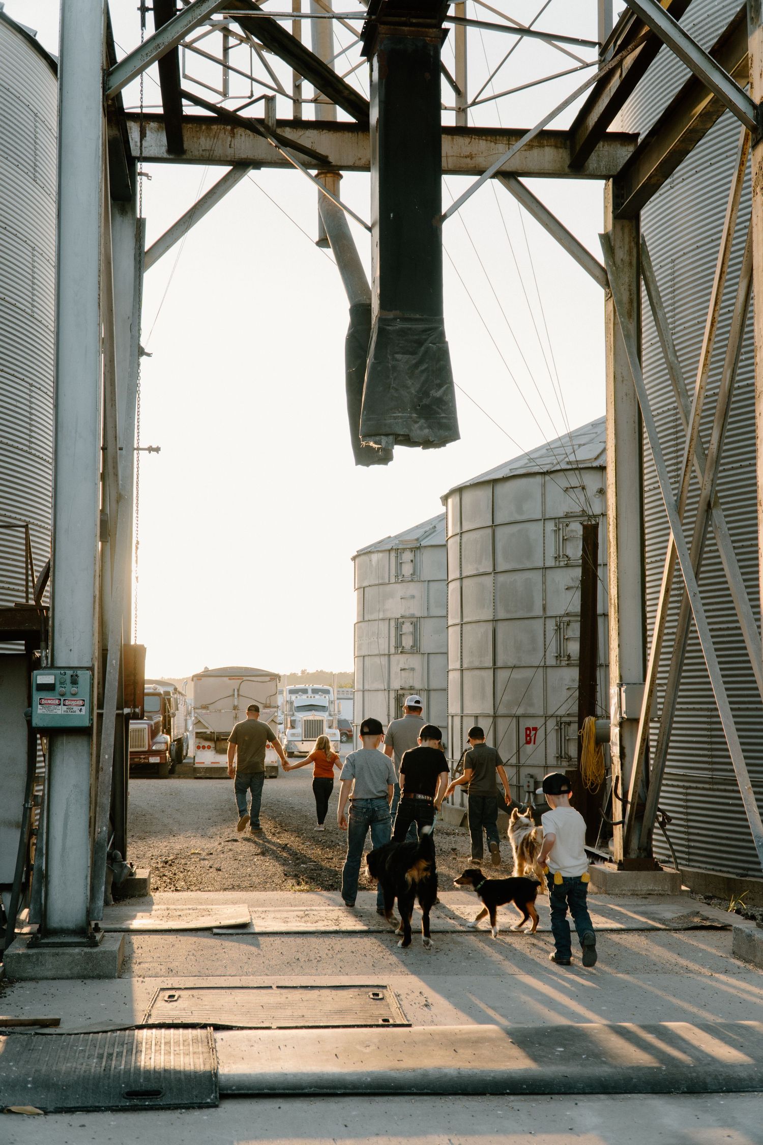 People walking with dogs between grain silos and industrial farm buildings at sunset.