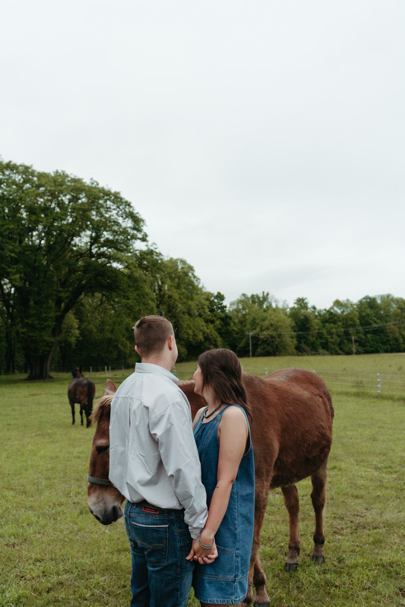 Couple holds hands in green meadow with chestnut horse standing close behind them.