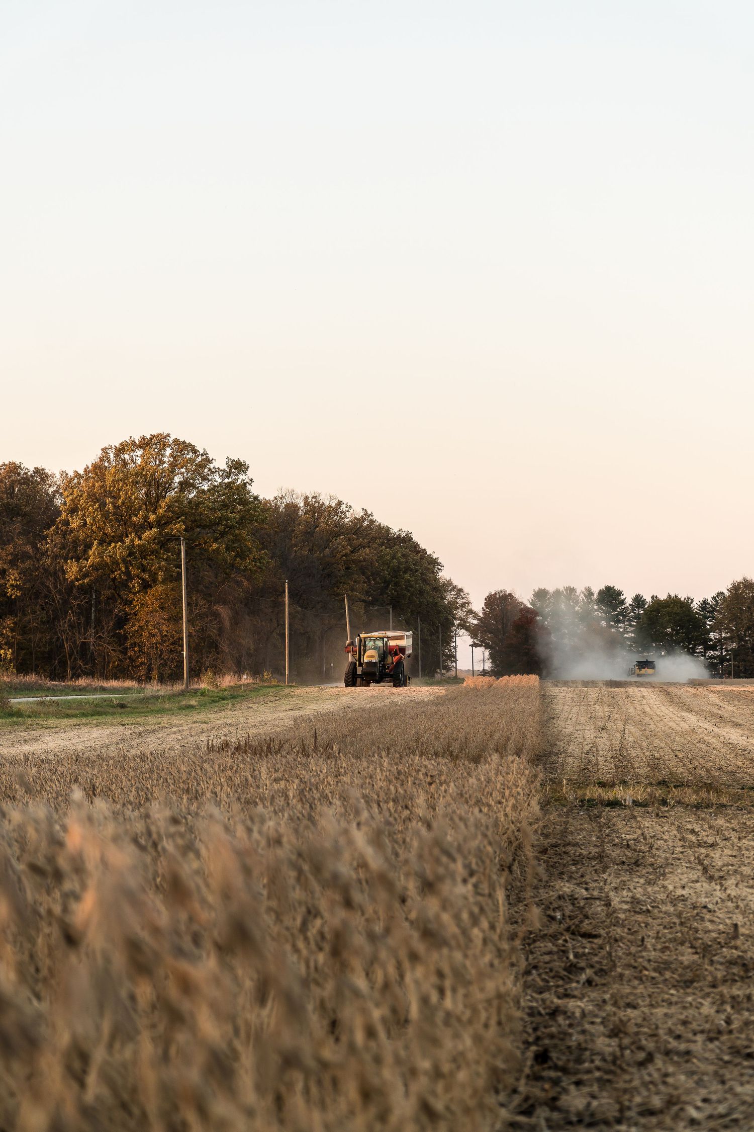Tractor and combine harvesting crops in field at dusk with dust rising against pale sky.