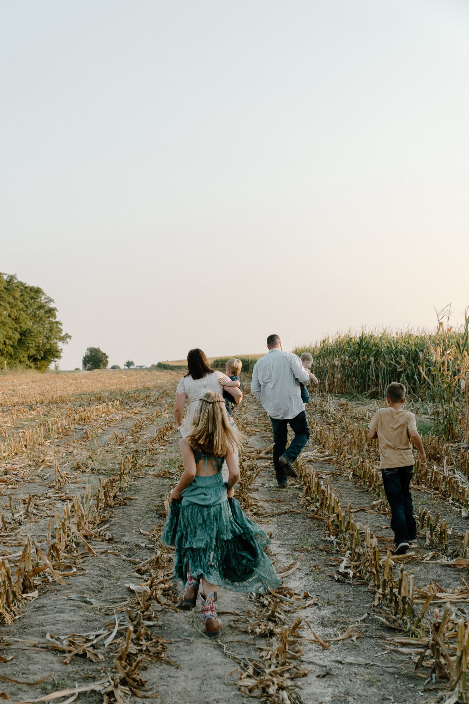 Family walking away through harvested cornfield rows at golden hour sunset.