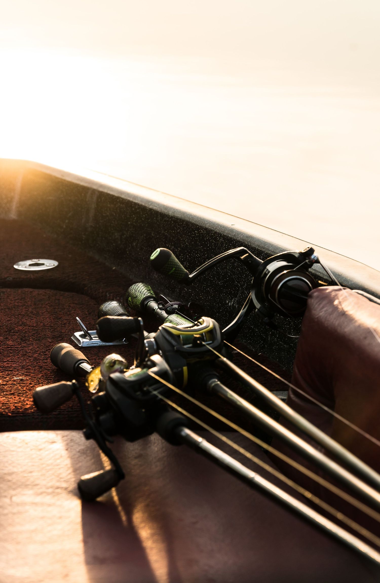 Multiple fishing rods with baitcasting reels lined up on boat deck in bright sunlight.