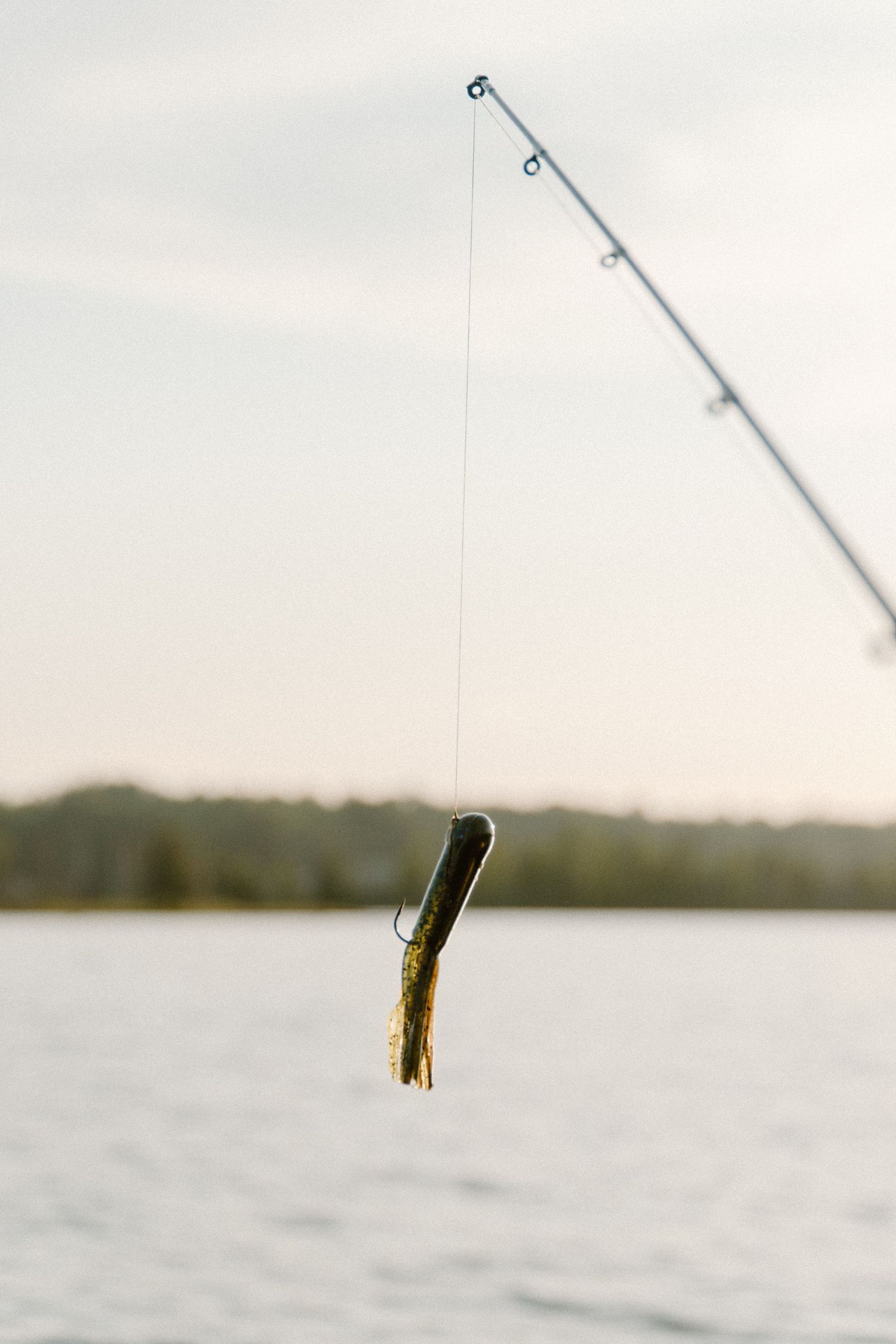 Soft plastic fishing lure hanging from a hook on a fishing line over a lake.