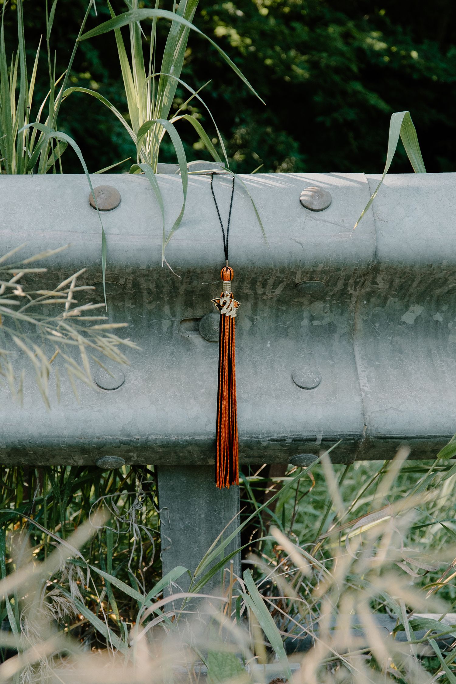 Brown leather tassel hanging from a metal guardrail surrounded by lush green grass and plants.
