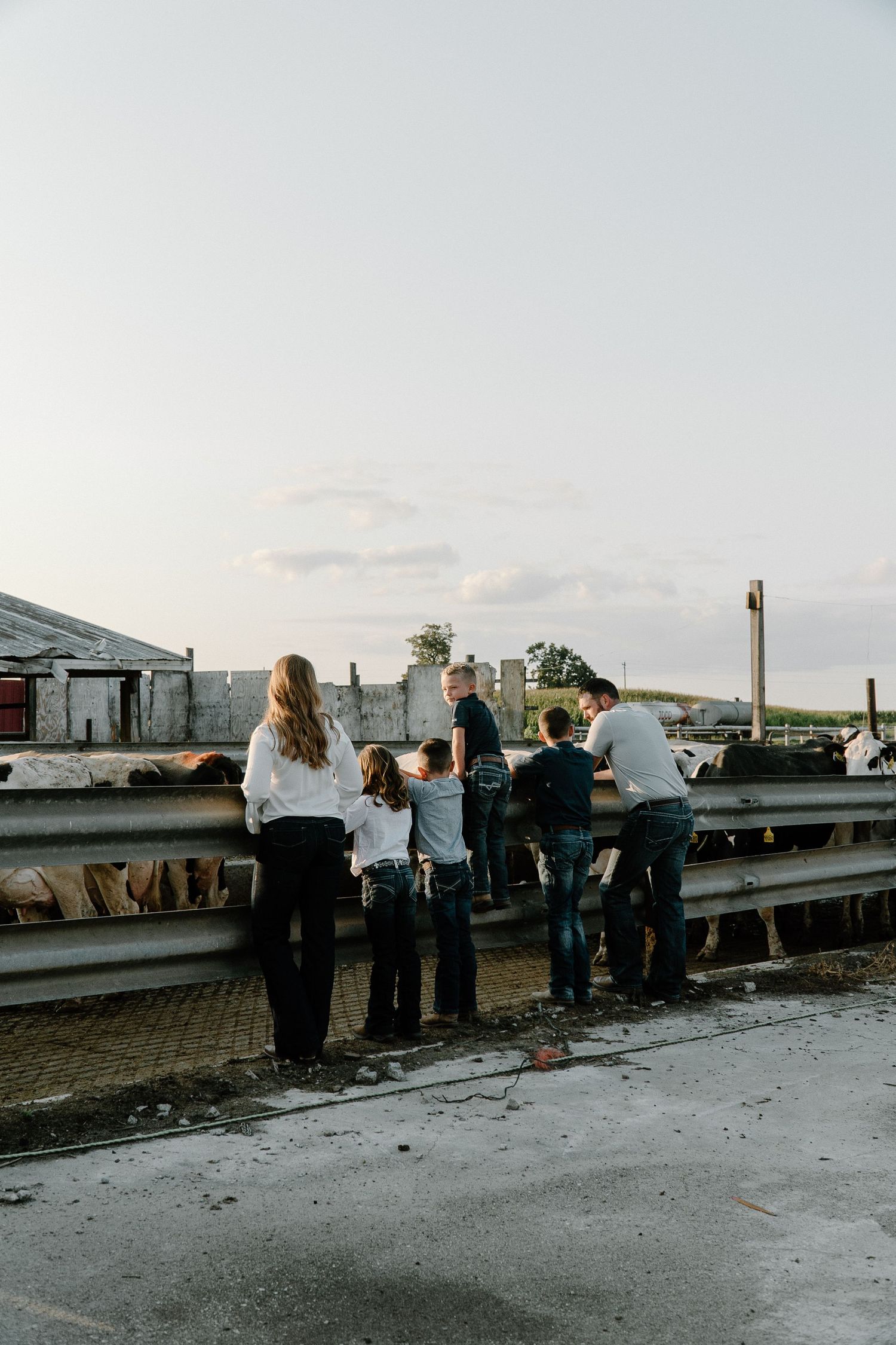 Family gathered at a farm fence observing cattle at dusk on a rural farm.