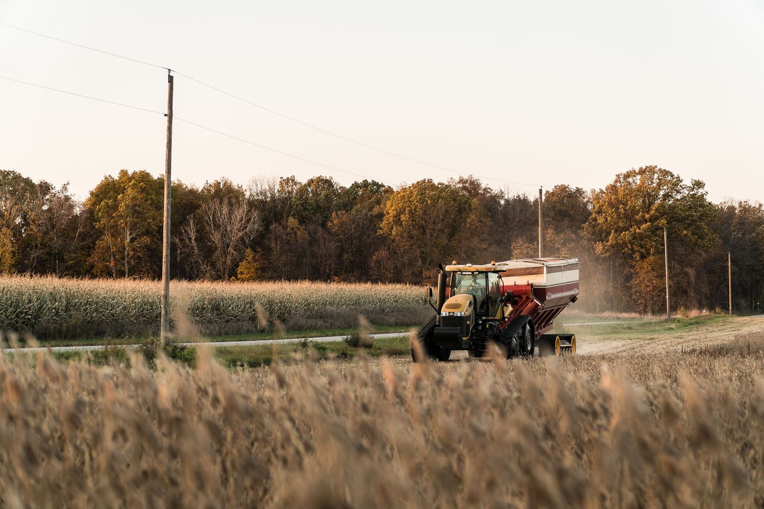 Red tractor pulling grain cart through harvested soybean field at golden hour with corn in background.