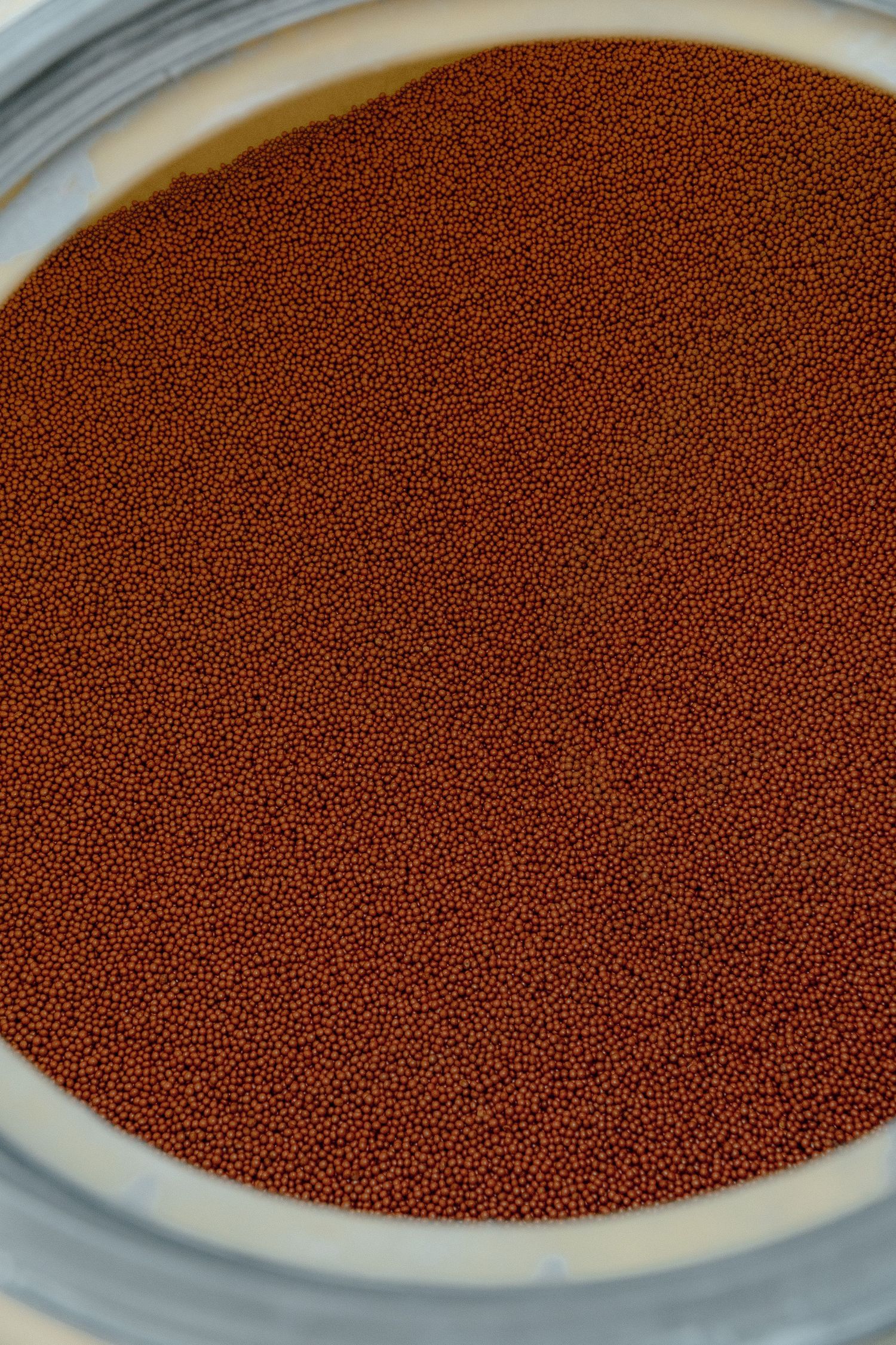 Top view of small round brown seeds filling a circular container.