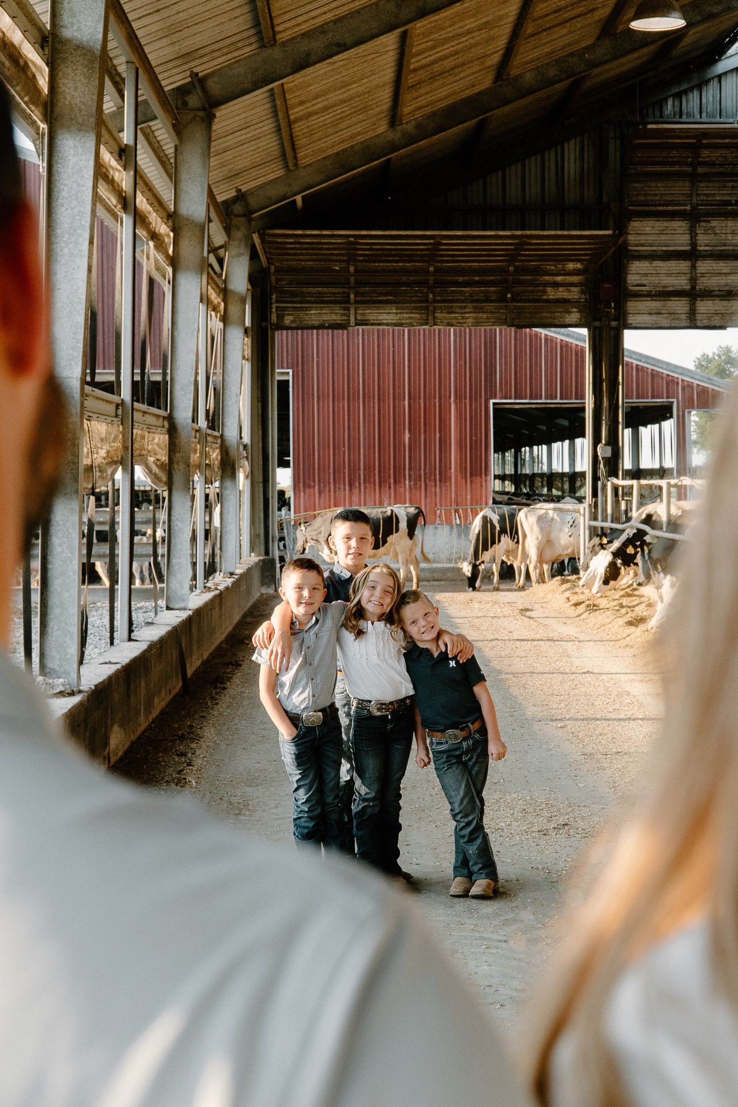 Three children hugging and posing together in sunny dairy barn with cows behind them.