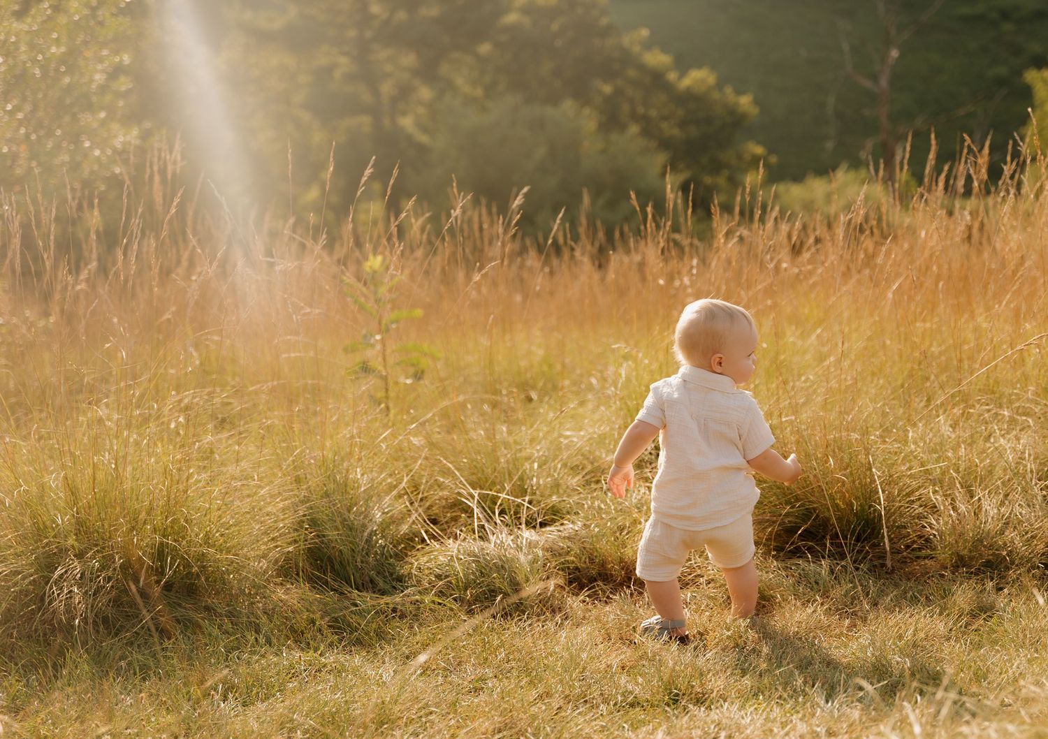 A small child explores a golden wheat field during sunset, creating a dreamy summer scene.