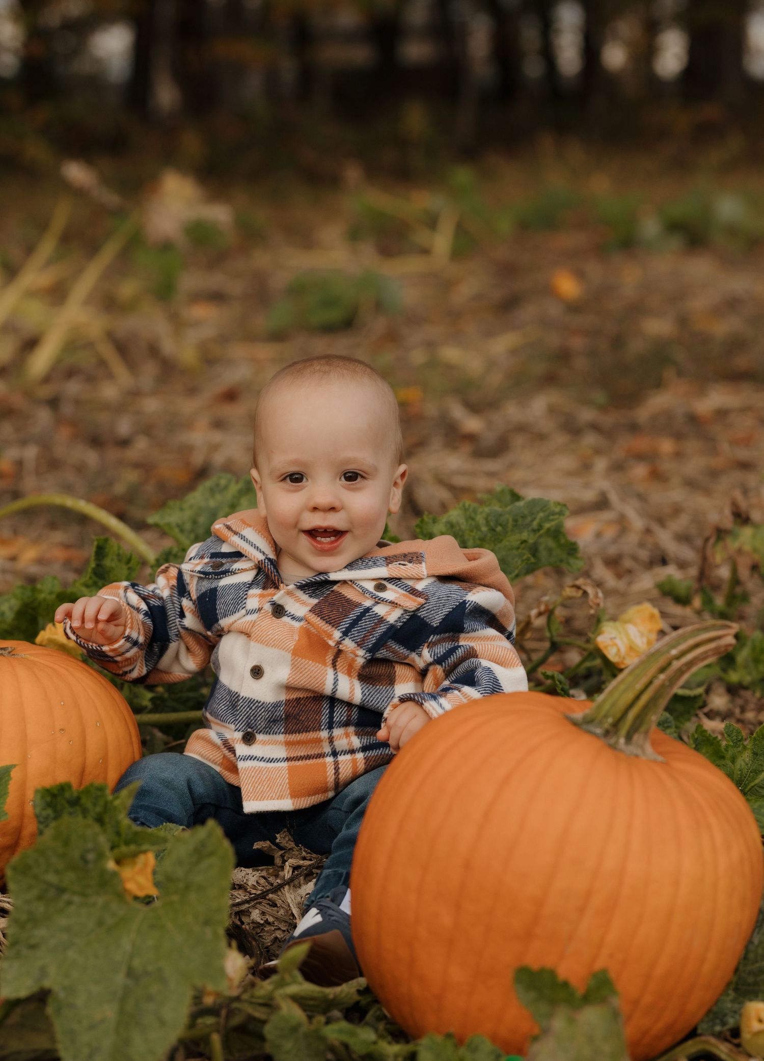 Baby sits among large orange pumpkins in an autumn field.