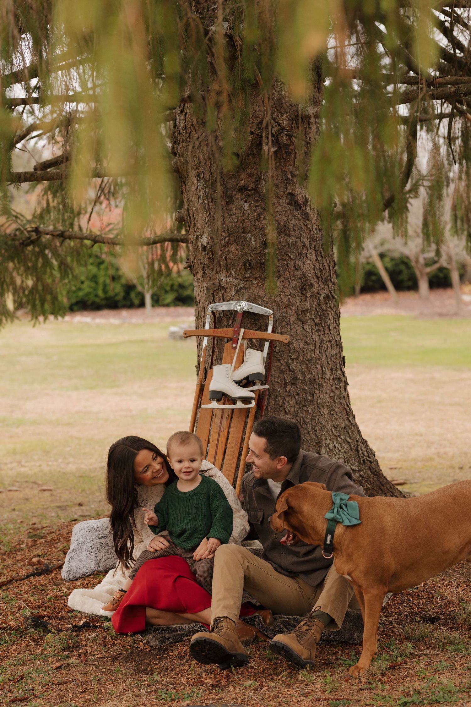 Family relaxing under pine trees with their brown dog during outdoor photo session.