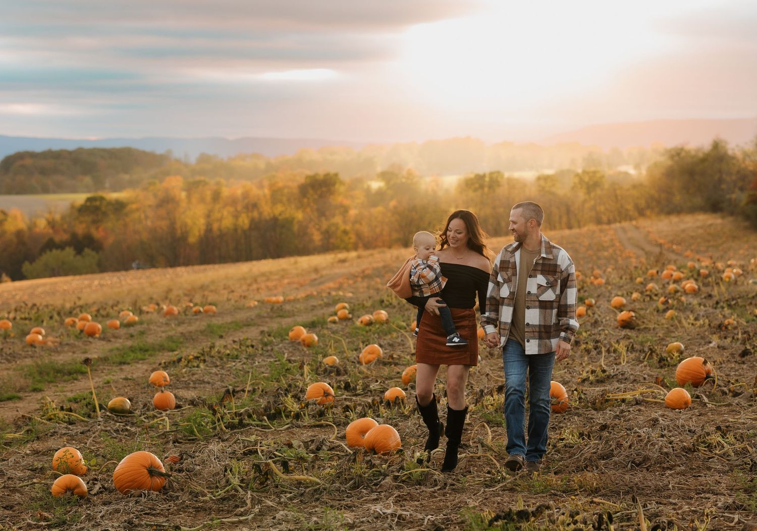 A family walks through a golden pumpkin patch at sunset during autumn harvest season.