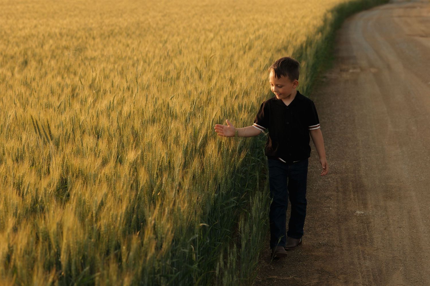 A person runs their hand through golden wheat while walking along a dirt path at sunset.