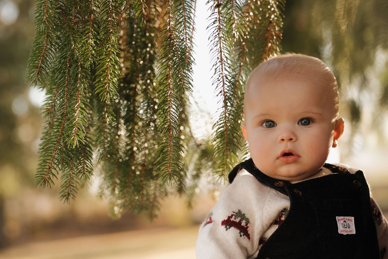Evergreen tree branches frame a sweet family moment outdoors.