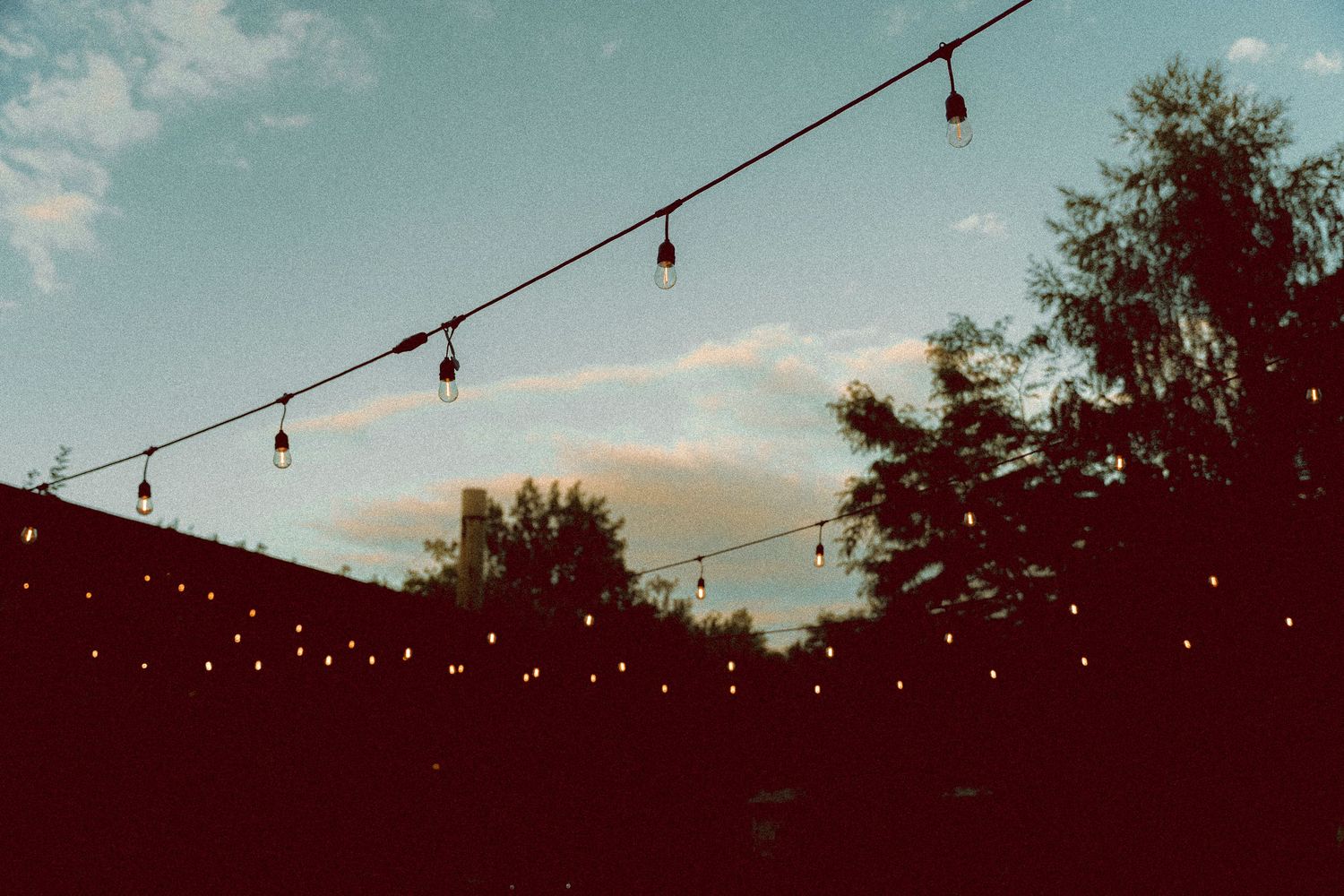 Wedding sunset on Toronto Island